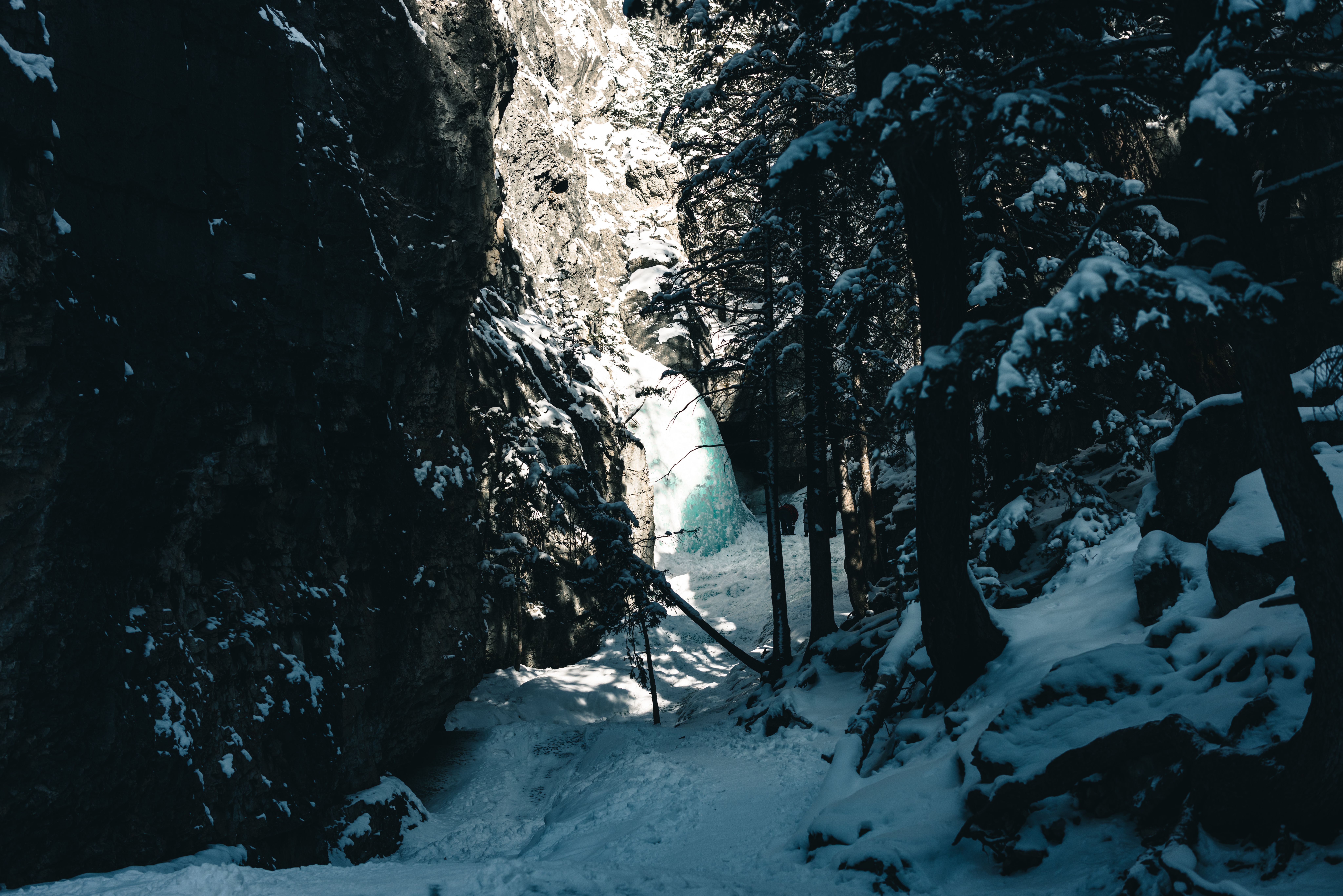 A serene winter landscape featuring a frozen waterfall in Kananaskis, Canada.