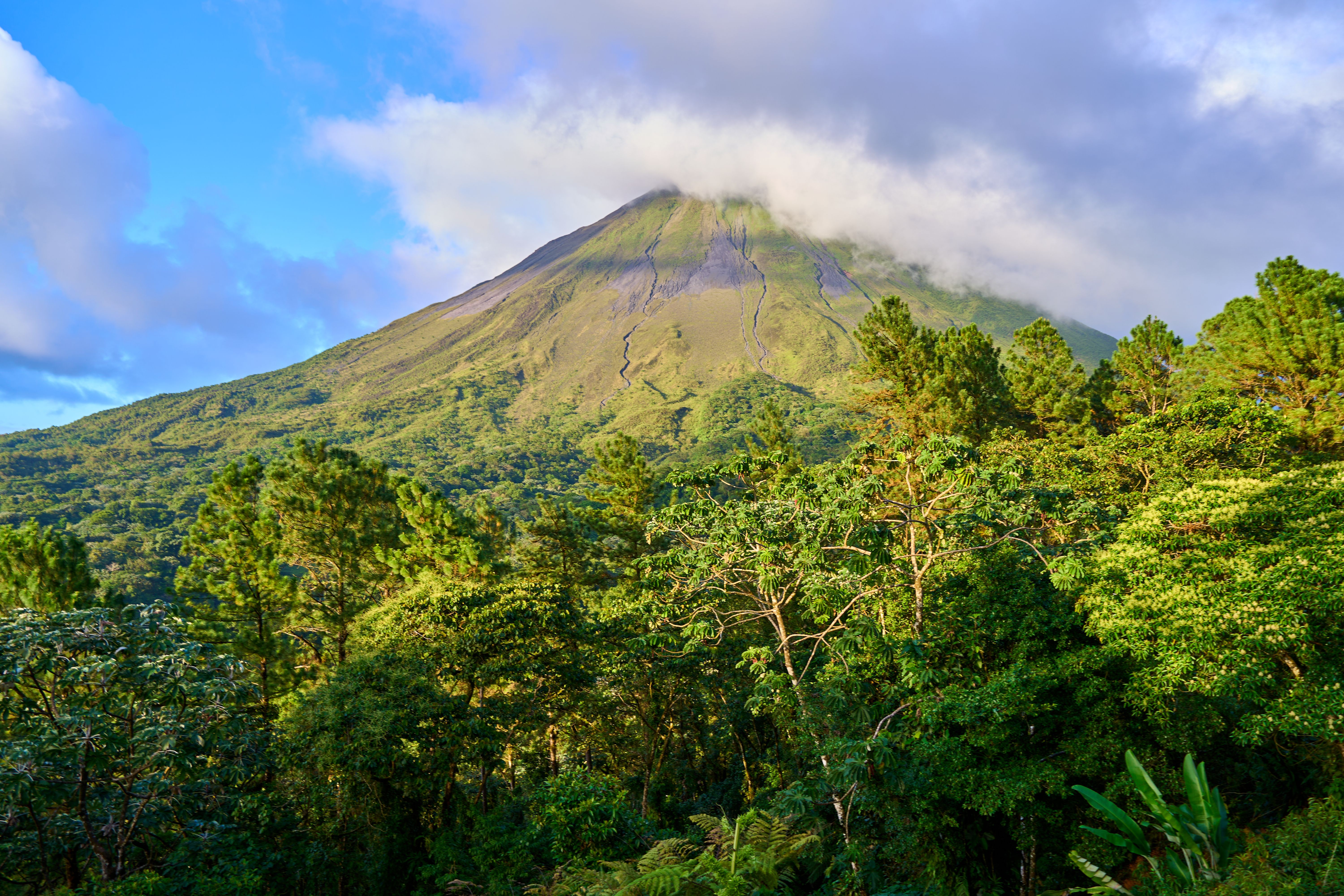 Lush green forest with a prominent volcanic mountain under a blue sky with clouds.