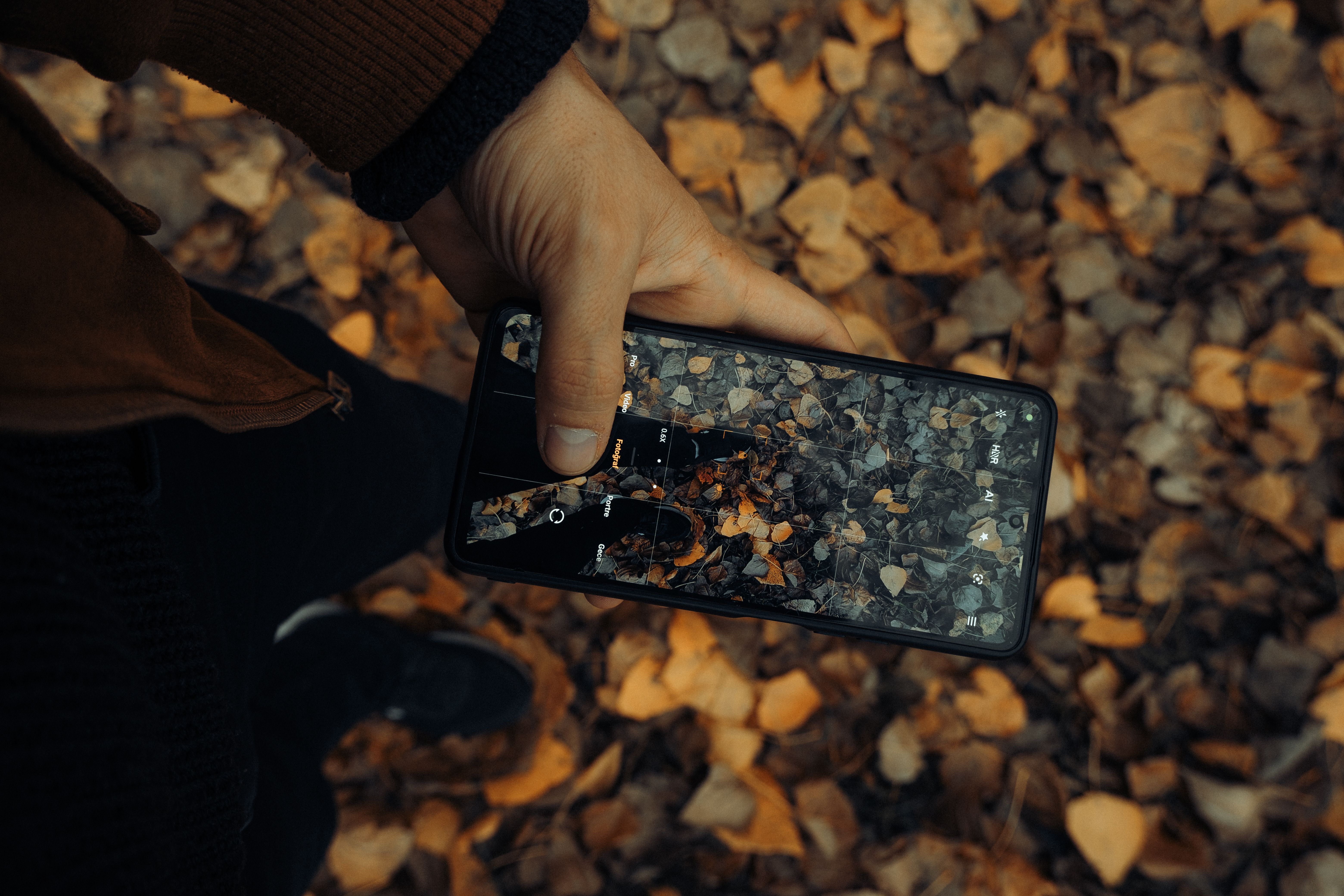 A person capturing fallen leaves on a smartphone during autumn. High angle view.