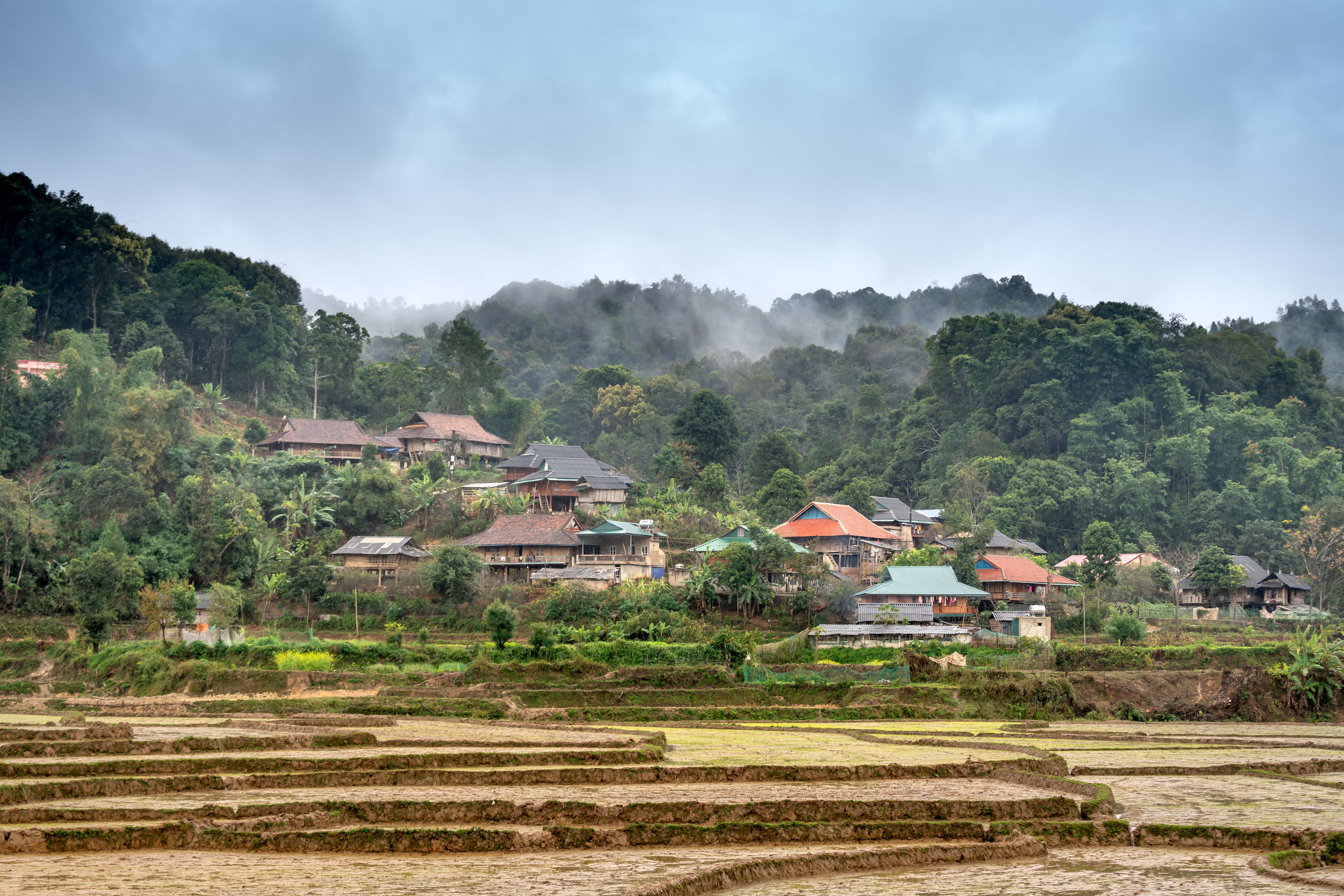 Serene rural village set against a lush forest backdrop, featuring traditional houses and terraced fields.