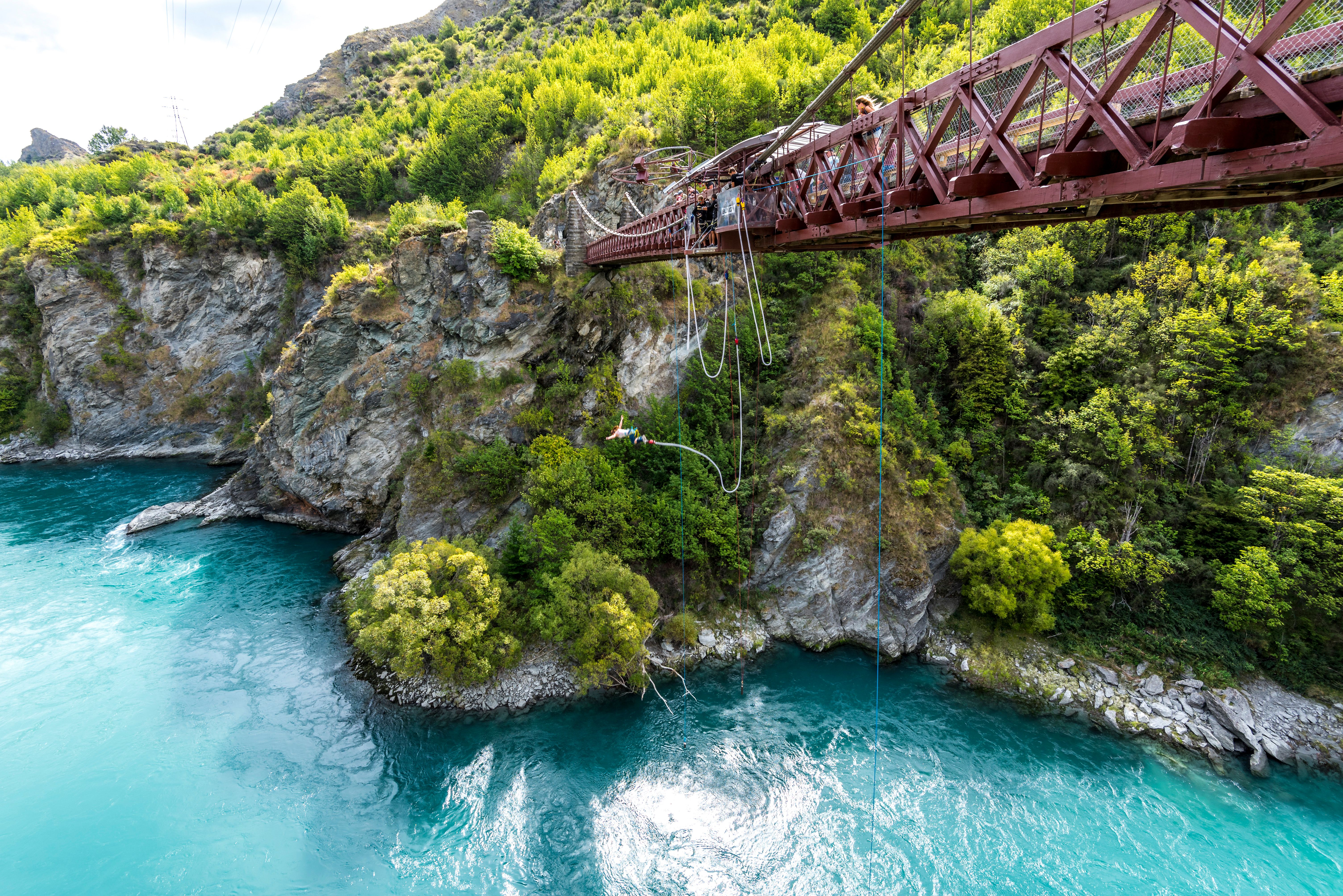 Daring bungee jump over turquoise river in lush green gorge from iconic Kawarau Bridge.