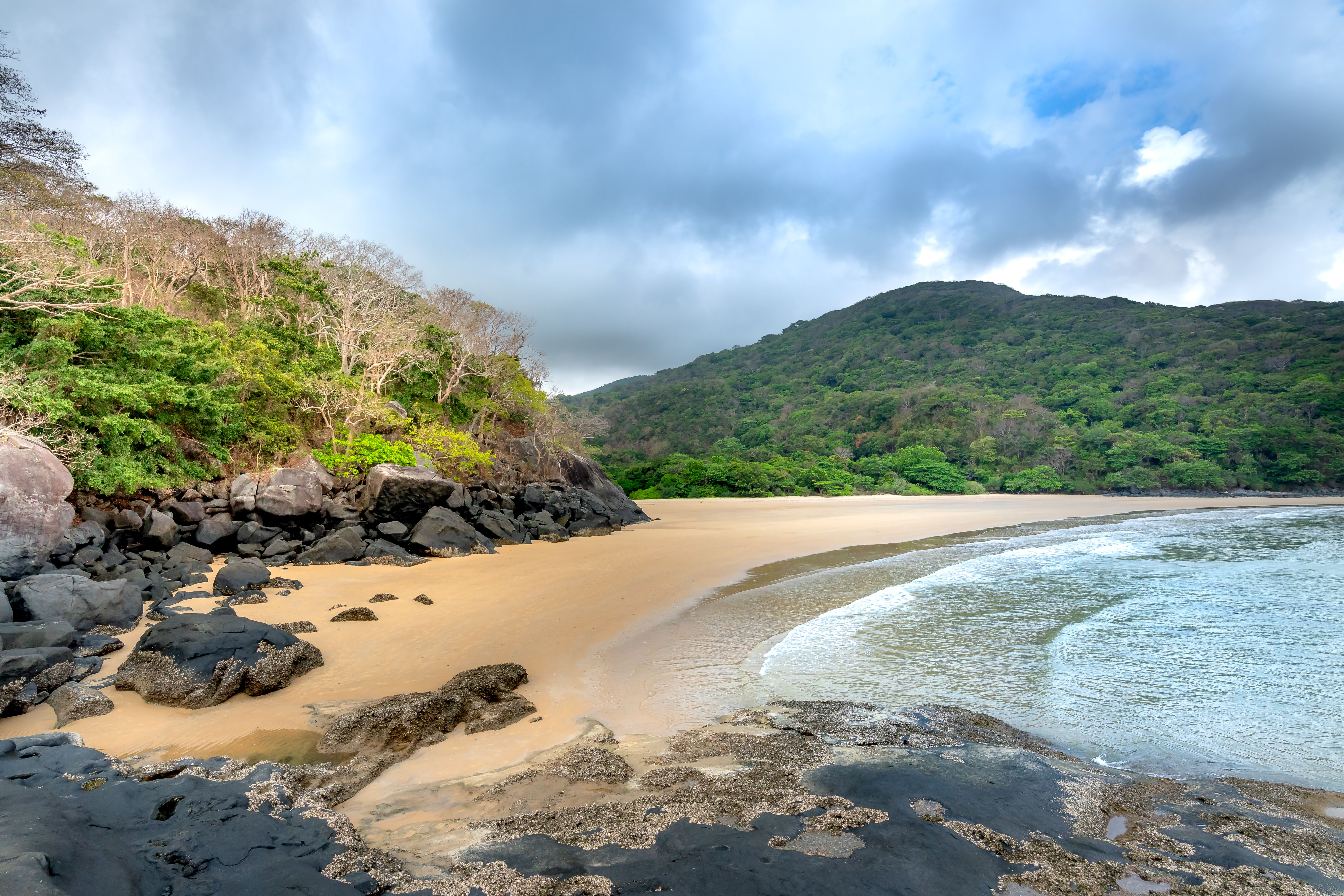 A serene beach scene with forested hills, golden sands, and rocky coastline under a blue sky.
