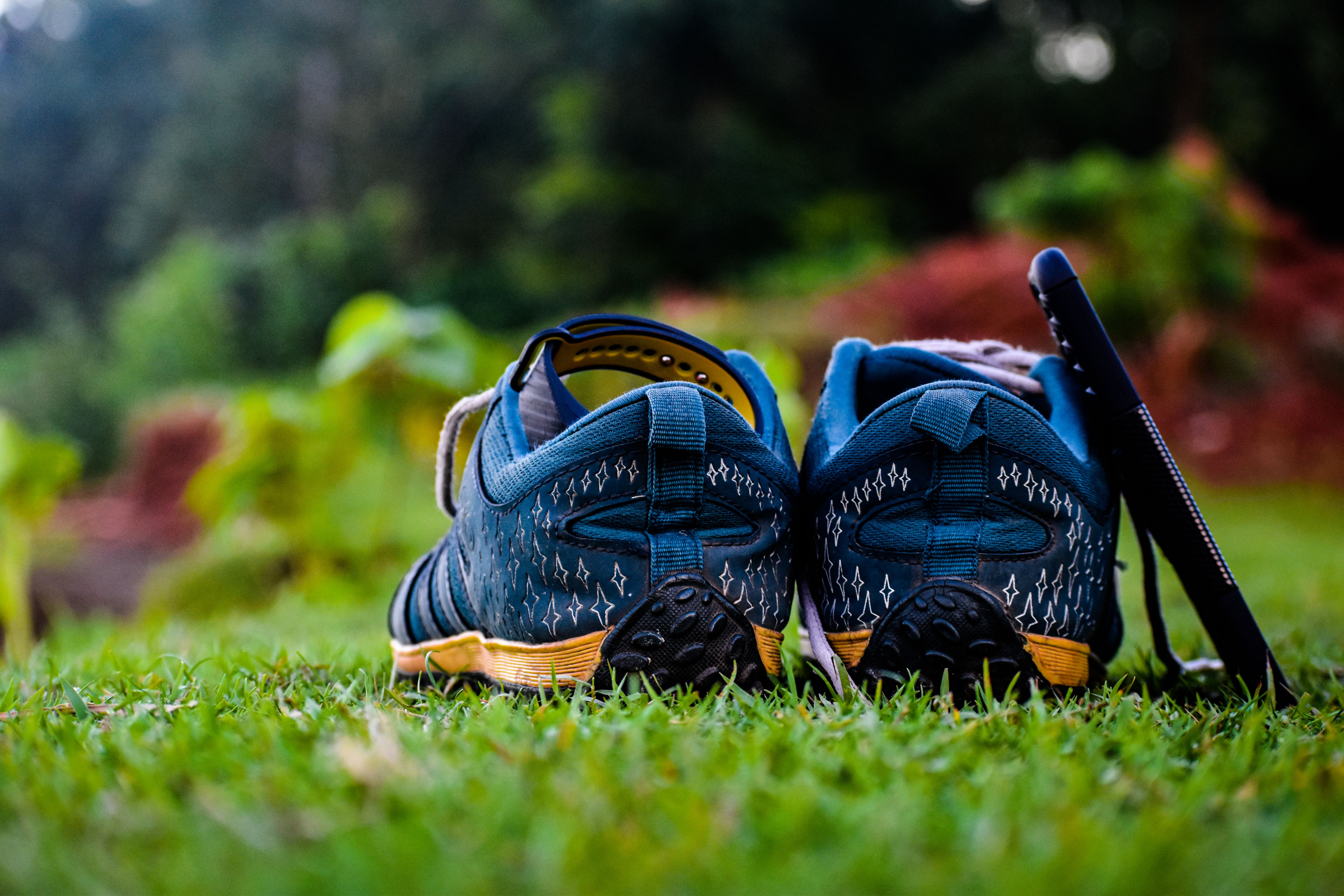 Blue sneakers resting on green grass with lush surroundings in India.