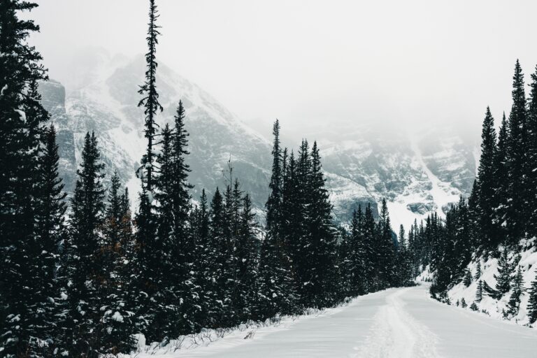Best Snowshoeing Destinations Worldwide for Winter Adventure