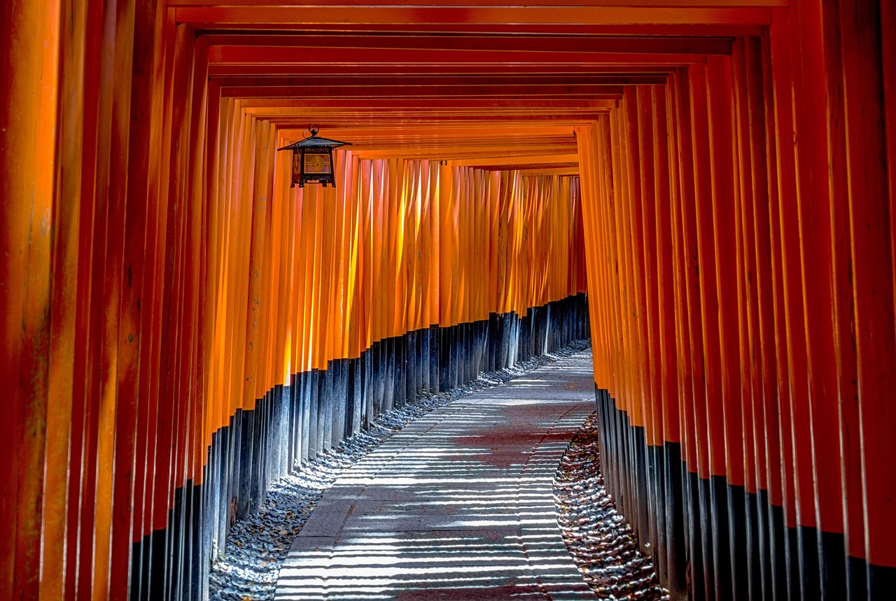 fushimi inari shrine, torii, temple, shinto, torii gates, architecture, oriental, traditional, shrine, heritage, ancient