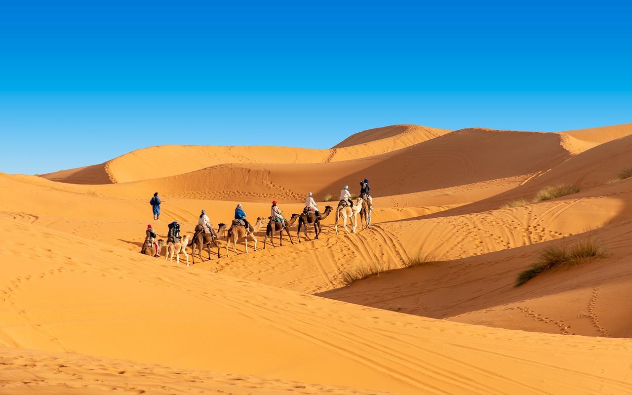 desert, the sand dunes, caravan, camel, berber, morocco, sahara, landscape, africa, sand, hot, nature, adventure, dune,