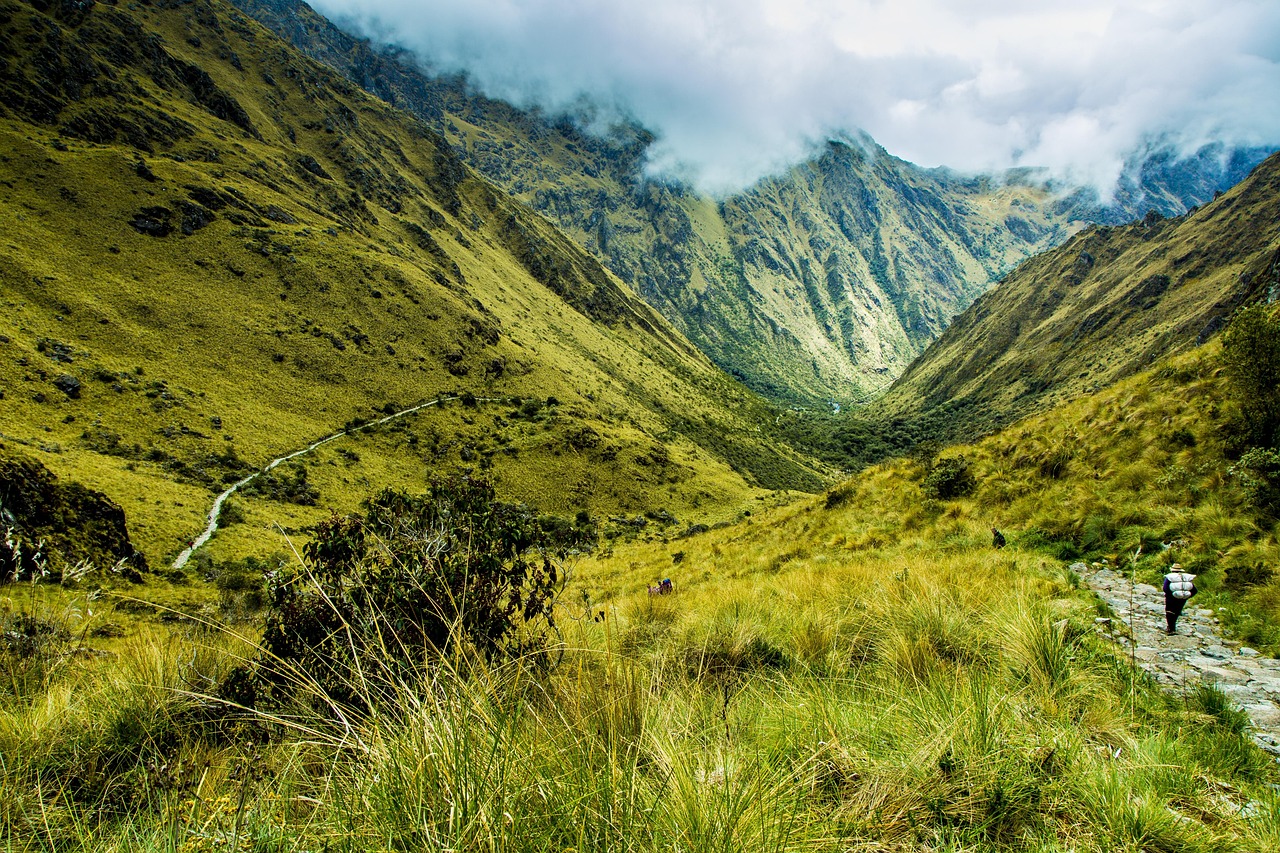 peru, on foot, yamano, grass green, landscape, travel on foot, green, nature, mountain trail, peru, peru, peru, peru, pe