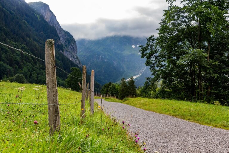 Switzerland Adventure Travel: Alps and Lakes – A Complete Guide