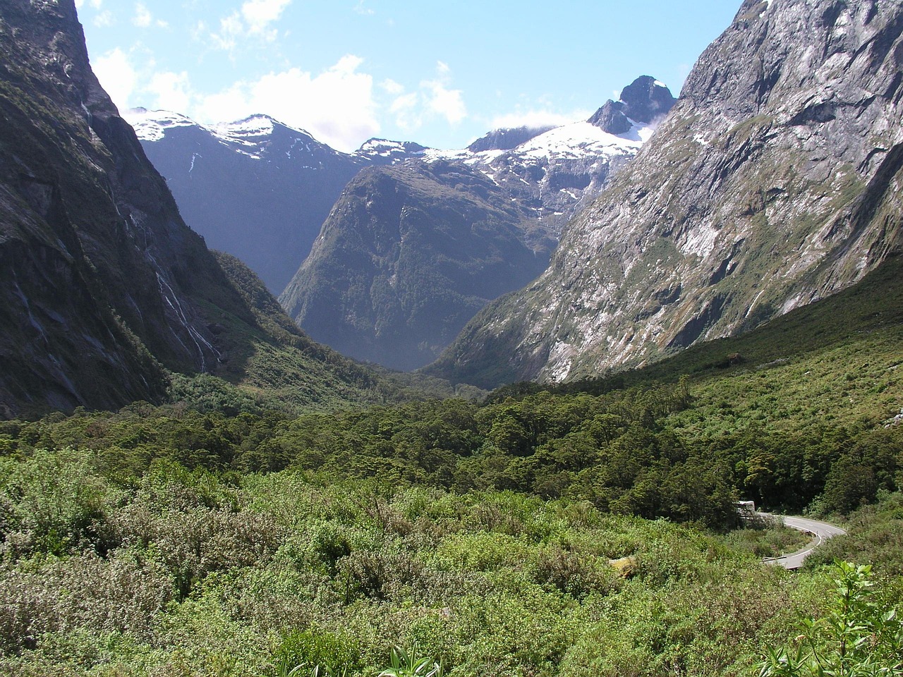 new zealand, new, zealand, milford sound, fjord, nature, landscape, country, scenery