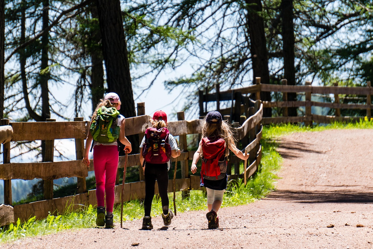 children, girl, hiking, trail, forest road, three, nature, landscape, path, forest, away, woman, person, wanderer, touri