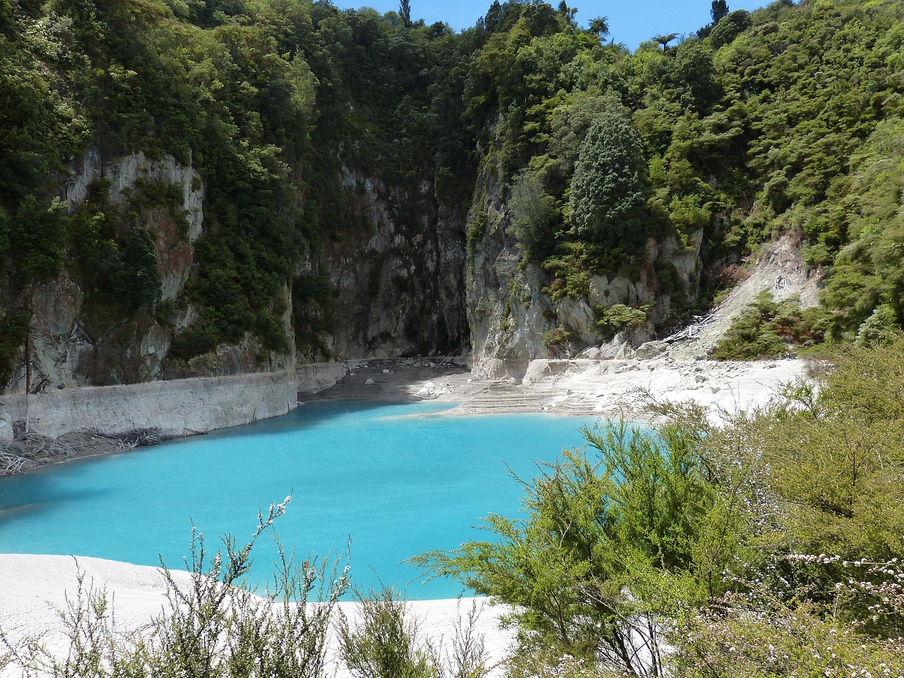 new zealand, nature, landscape, volcanism, volcanic, crater, north island, lake, pond, lime, forest, new zealand, new ze