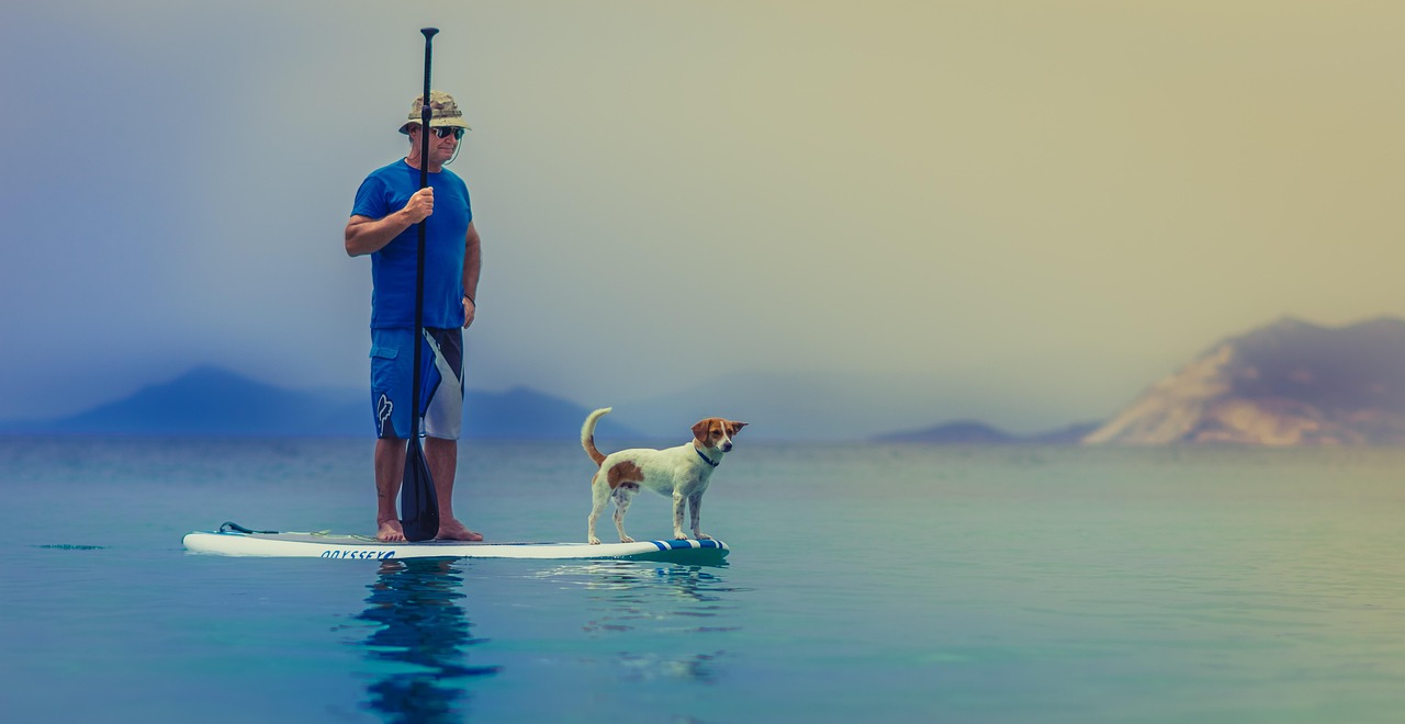 standup paddleboarding, man, dog, friendship, companion, pet, nature, owner, paddleboard, paddle, together, stand, stand