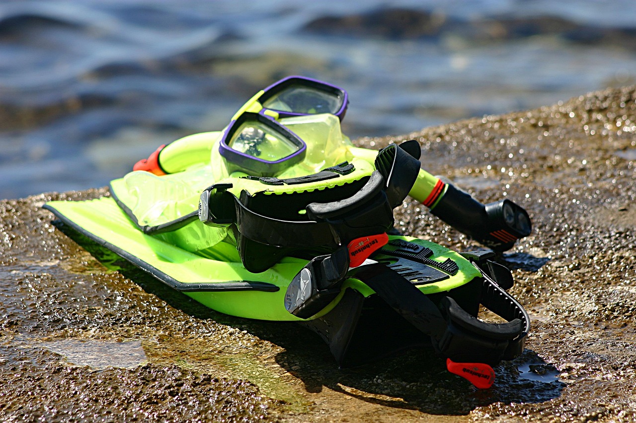 snorkle, dive, explore, mask, flippers, gear, water sports, swim, summer, green, colorful, set, nature, underwater, snor