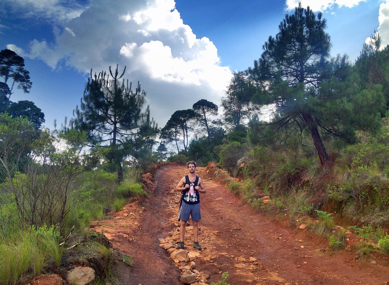 man, hiker, hiking, mexico, green, nature, person, trail, street