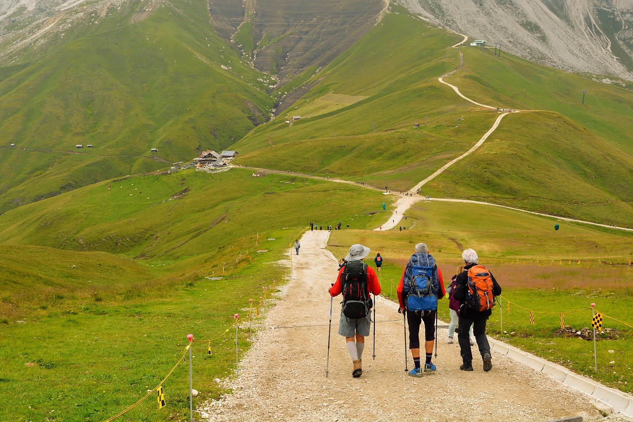 excursion, mountain, tourists, trail, street, nature, trekking, adventure, mountains, hiker, landscape, person, trip, tr