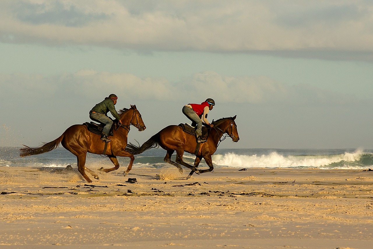 beach, horses, racing, sand, nature, riding, horseback, south-africa