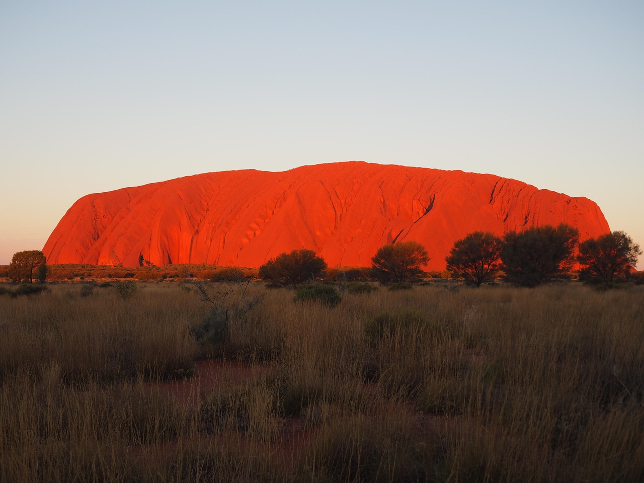 australia, nature, sunset, uluru