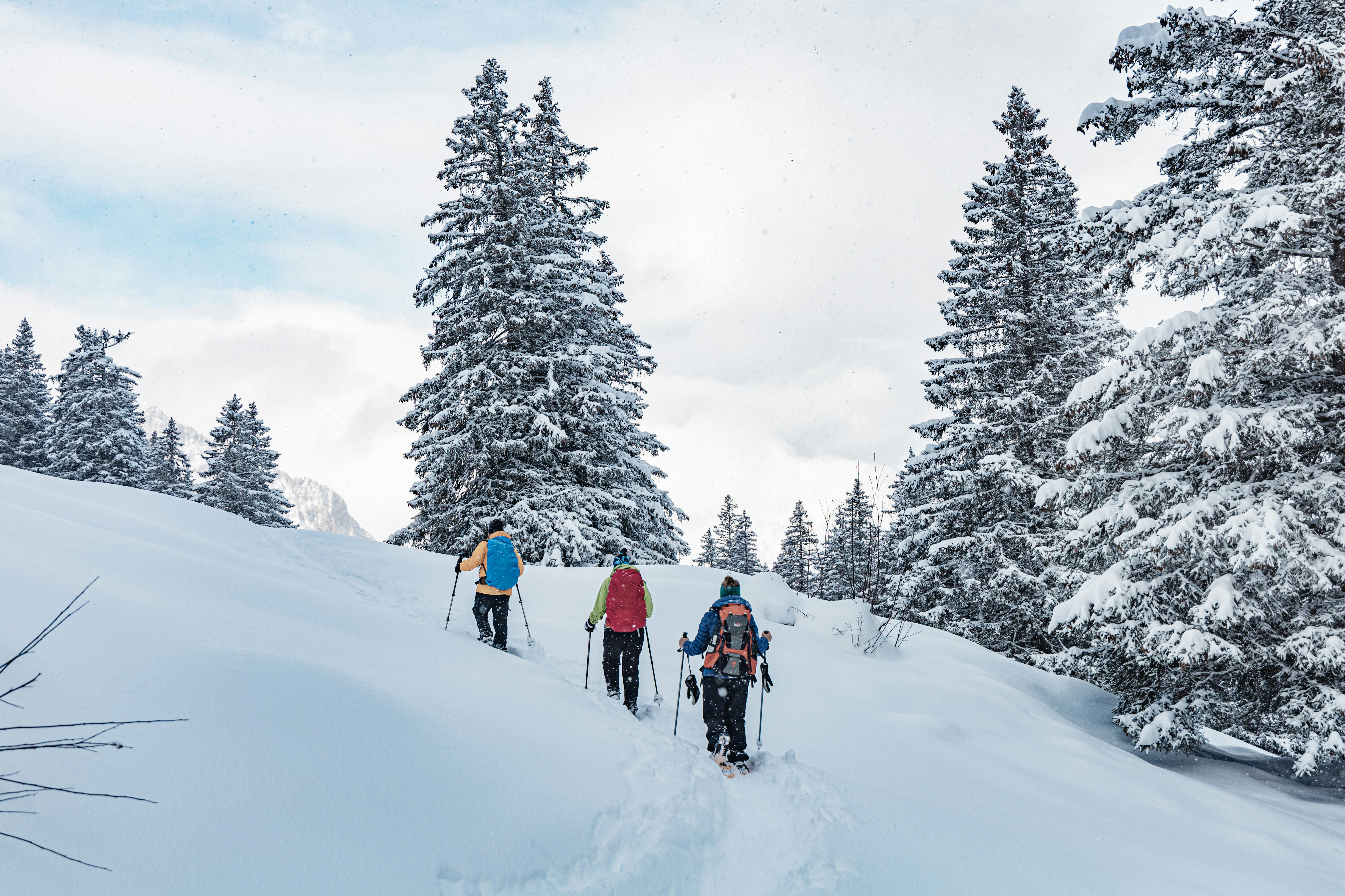 a group of people riding skis down a snow covered slope