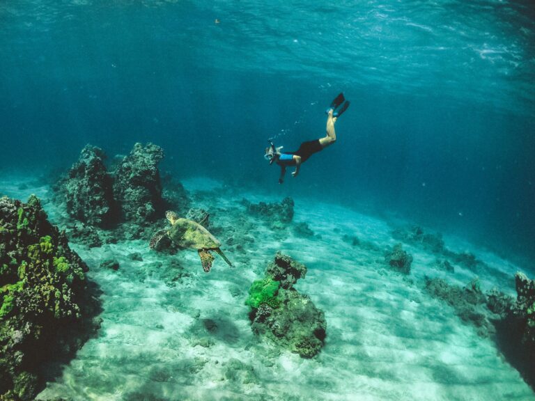 Best Snorkeling Adventure Trips: Top Destinations