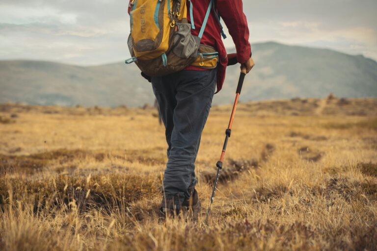 Best Trekking Poles for Long Distance Hiking: Expert Picks & Buying Guide
